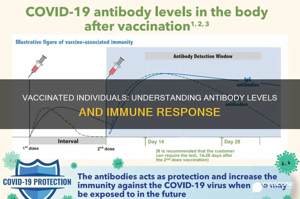 how many antibodies does a vaccinated person have