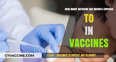 Understanding Infant Vaccine Antigens: Exposure and Safety Explained