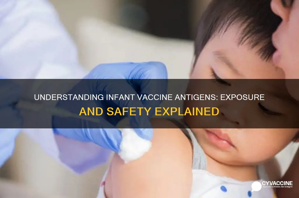 how many antigens are infants exposed to in vaccines