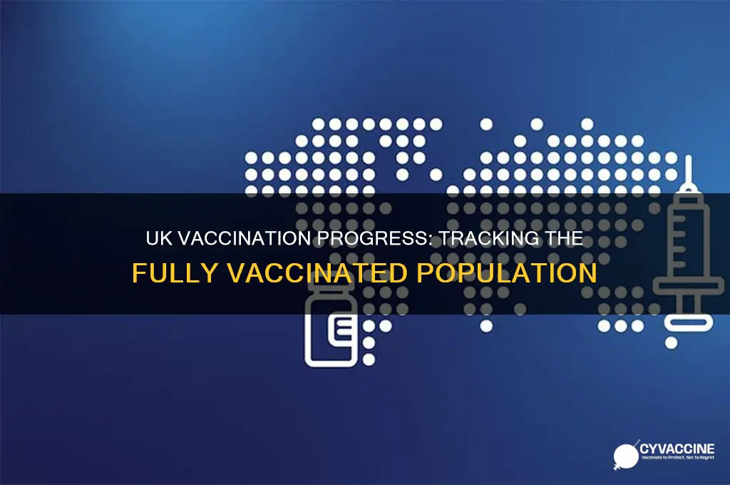 how many are fully vaccinated in the uk
