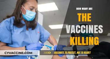 Unveiling the Truth: Vaccine-Related Deaths and Misinformation Debunked