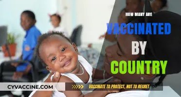 Global Vaccination Rates: Tracking Immunization Progress by Country