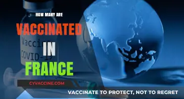 France's Vaccination Progress: Tracking the Number of Vaccinated Individuals