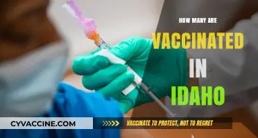 Idaho's Vaccination Progress: Tracking COVID-19 Immunization Rates Statewide