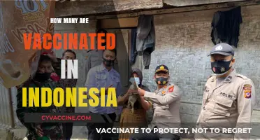 Indonesia's Vaccination Progress: Tracking the Number of Vaccinated Individuals