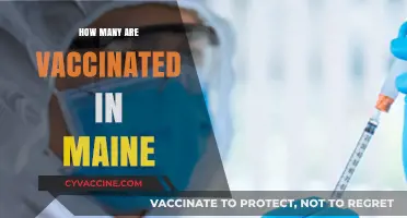 Maine's Vaccination Progress: Tracking COVID-19 Immunization Rates Statewide