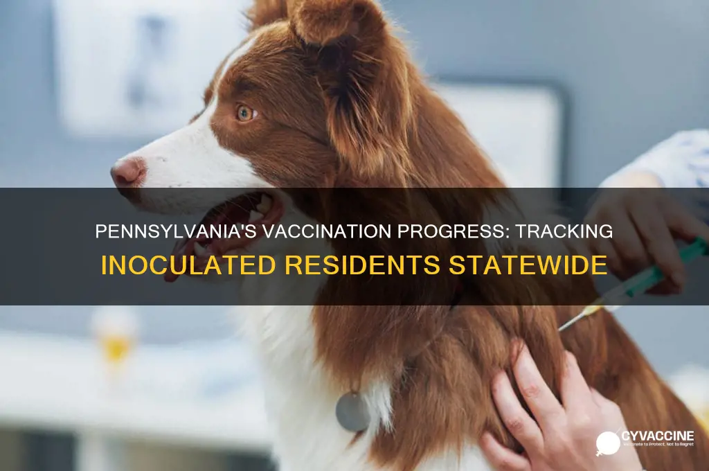 how many are vaccinated in pa