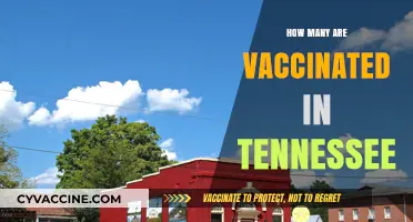 Tennessee's Vaccination Progress: Tracking COVID-19 Immunization Rates Statewide