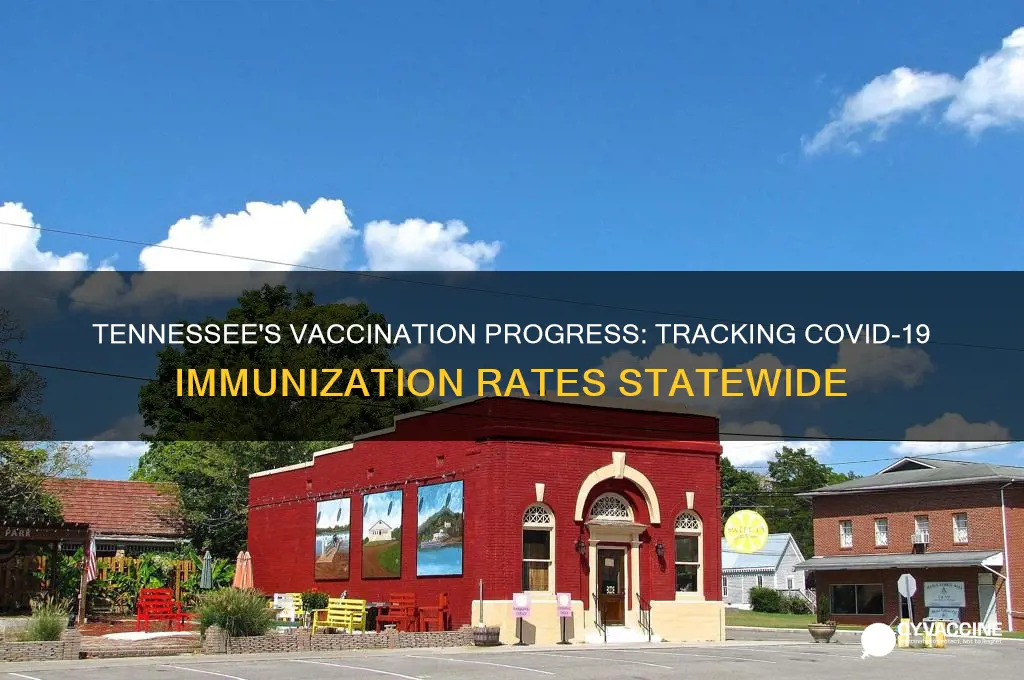 how many are vaccinated in tennessee