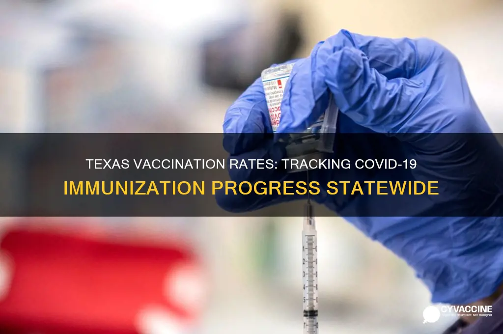 how many are vaccinated in texas