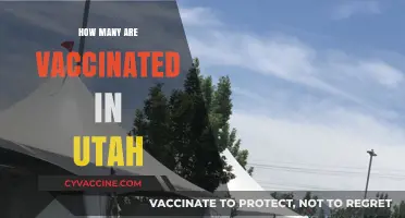 Utah's Vaccination Progress: Tracking COVID-19 Immunization Rates Statewide