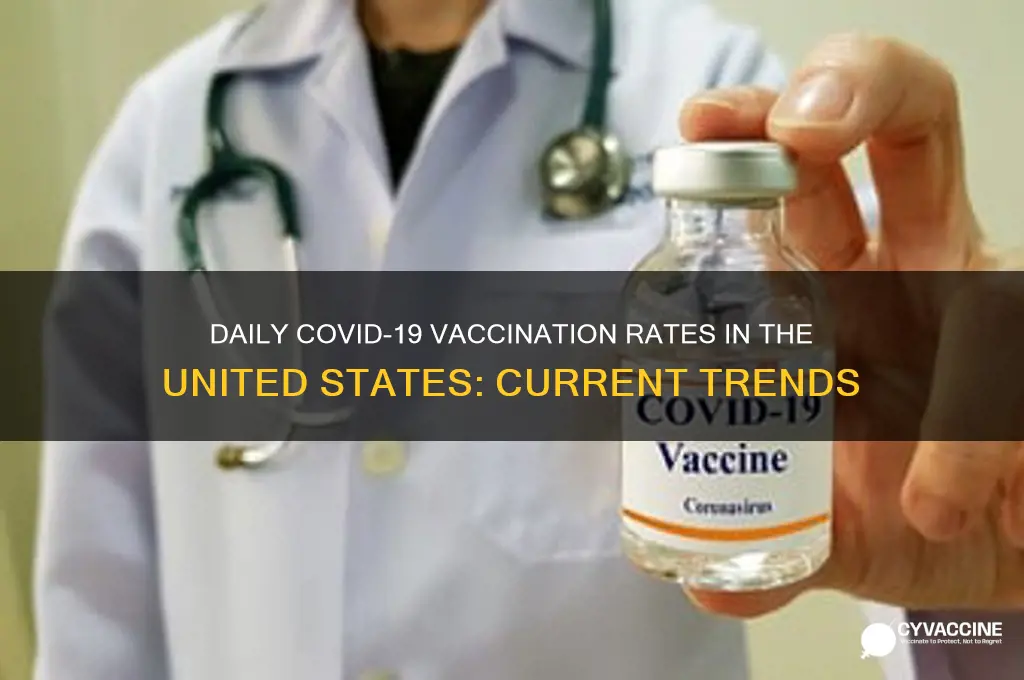 how many are vaccinated per day in the us