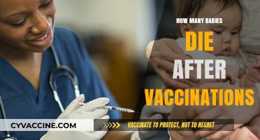 Vaccination Safety: Addressing Concerns About Infant Deaths Post-Immunization