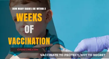 Vaccination Safety: Debunking Myths About Infant Deaths Post-Immunization