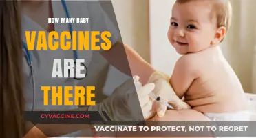 Understanding the Essential Baby Vaccines: A Comprehensive Guide for Parents