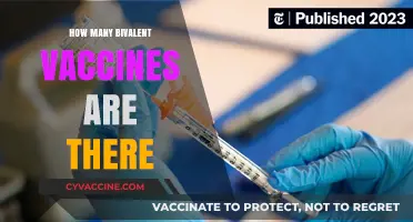 Exploring the Variety of Bivalent Vaccines Available Worldwide
