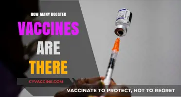 Understanding the Number of Booster Vaccines Available Today
