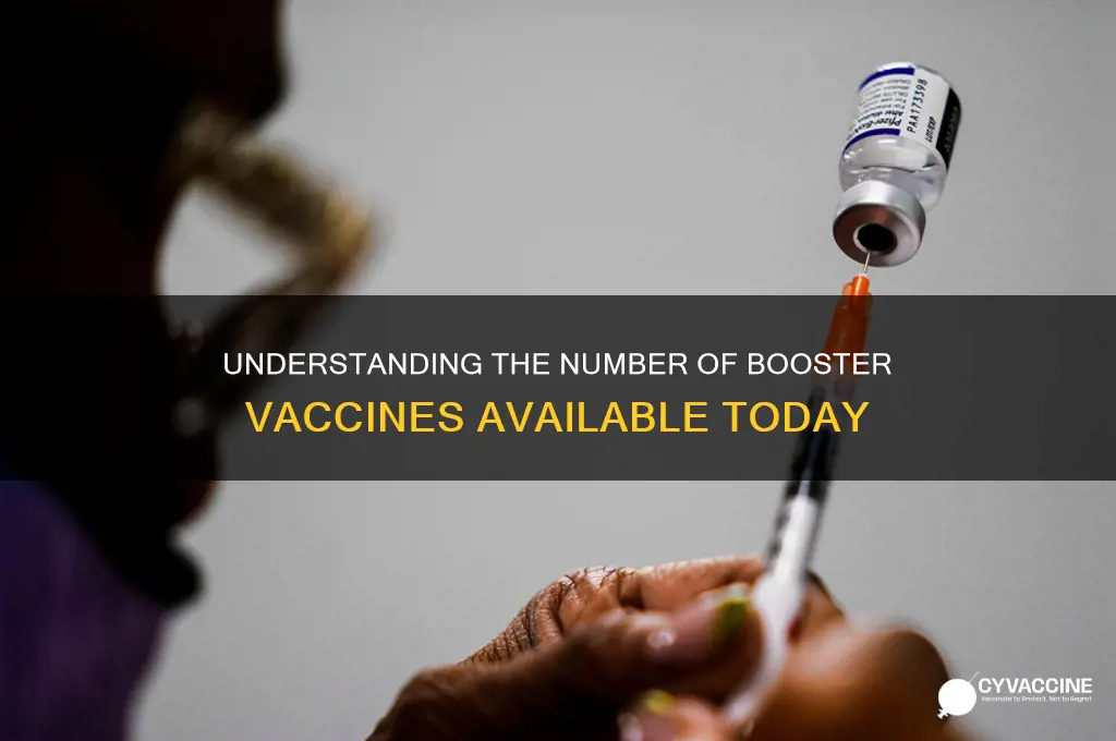 how many booster vaccines are there