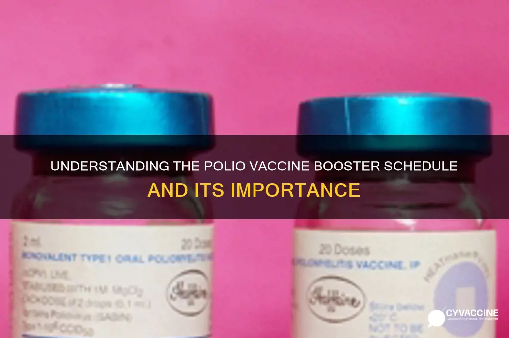 how many boosters did the polio vaccine have
