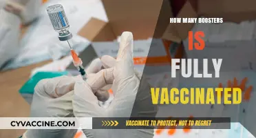 Understanding Full Vaccination: Booster Shots and Immunity Levels Explained