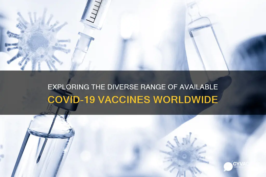 how many c19 vaccines are there