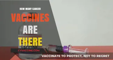 Exploring the Current Landscape of Available Cancer Vaccines