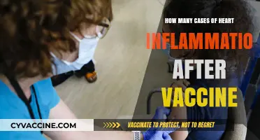 Heart Inflammation Cases Post-Vaccination: Understanding the Rare Occurrences