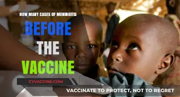 Pre-Vaccine Meningitis Cases: A Historical Overview of Incidence Rates