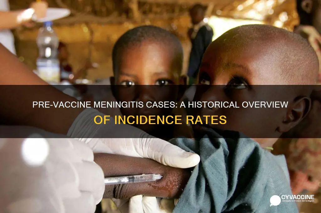 how many cases of meningitis before the vaccine