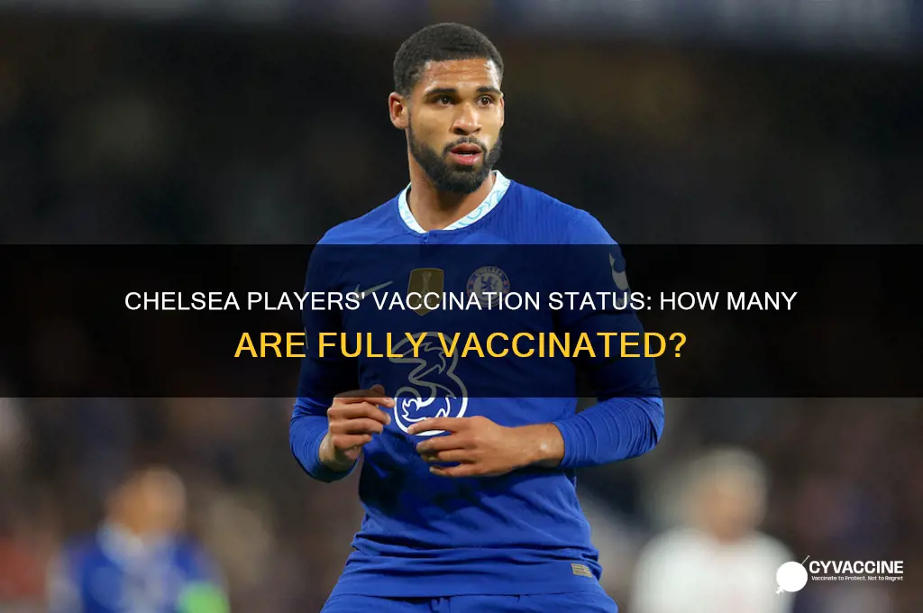 how many chelsea players are vaccinated