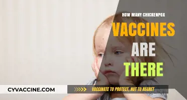 Understanding Chickenpox Vaccines: Types, Availability, and Protection Options