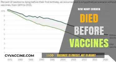 Child Mortality Before Vaccines: A Historical Perspective on Prevention