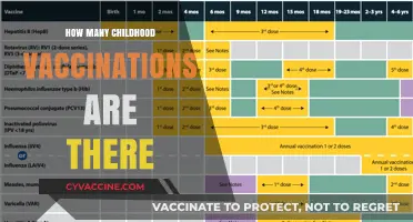 Understanding the Essential Childhood Vaccination Schedule: A Comprehensive Guide