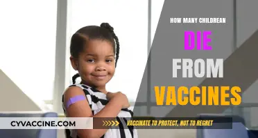 Vaccine Safety: Debunking Myths About Child Fatalities and Immunizations