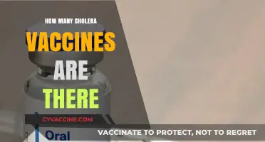 Exploring the Varieties of Cholera Vaccines Available Worldwide