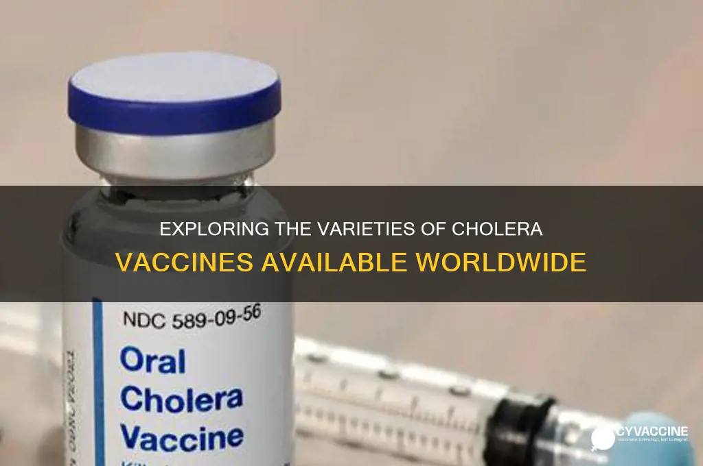 how many cholera vaccines are there