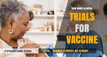 Understanding the Extensive Clinical Trial Process for Vaccine Development