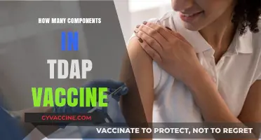 Understanding the Tdap Vaccine: Components and Their Role in Protection