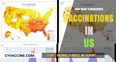 Tracking COVID-19 Vaccination Progress: US Inoculation Numbers Revealed
