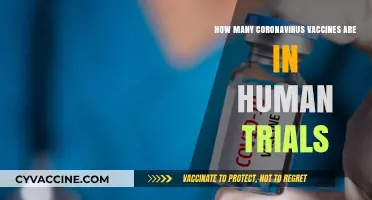 Coronavirus Vaccine Progress: Tracking Human Trials Worldwide