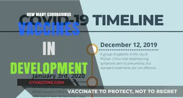 Global Race: Tracking the Numerous Coronavirus Vaccines in Development