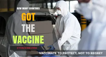 Global Vaccine Distribution: Tracking COVID-19 Immunization Across Nations