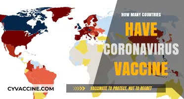 Global COVID-19 Vaccination Efforts: How Many Countries Have Access?