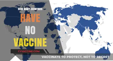 Exploring Nations Without COVID-19 Vaccination Programs: A Global Overview