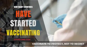 Global Vaccination Rollout: Tracking Countries Administering COVID-19 Vaccines