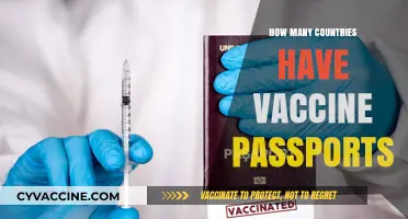 Global Vaccine Passport Adoption: Tracking Countries with Digital Health Passes