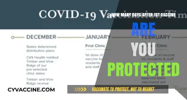 When Does COVID-19 Vaccine Protection Begin After Your First Dose?