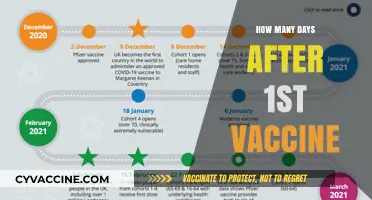 Post-Vaccine Timeline: Understanding Days After Your First COVID-19 Shot