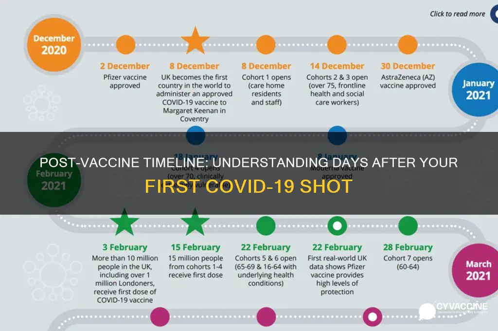 how many days after 1st vaccine