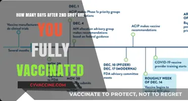 Fully Vaccinated Timeline: Days After Your Second COVID-19 Shot